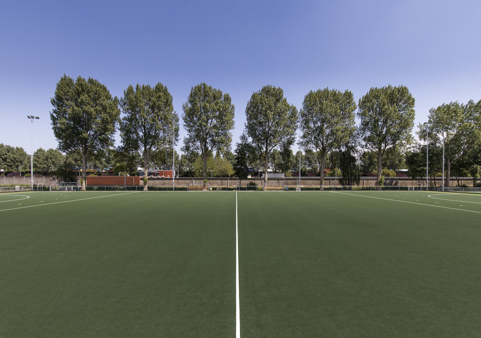 Hockeyen op kunstgrasvelden